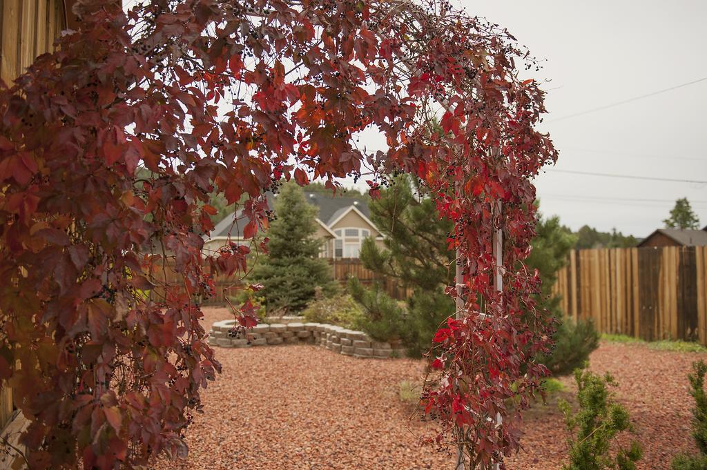 Grand Canyon Bed And Breakfast Williams Eksteriør bilde